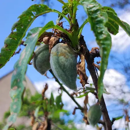 Au Phil De La Nath'ure 3* Achen