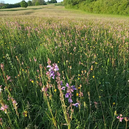 Au Phil De La Nath'ure Casa de hóspedes