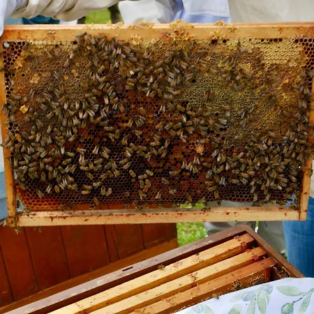 Au Phil De La Nath'ure Casa de hóspedes