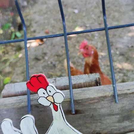 Gasthuis Au Phil De La Nath'ure