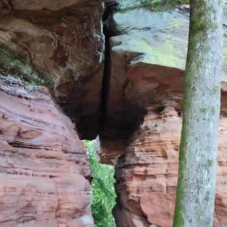 Au Phil De La Nath'ure