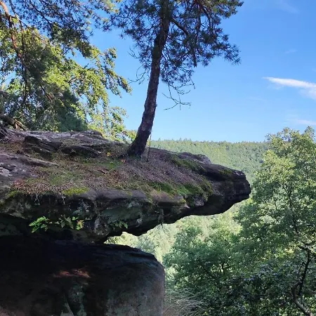 Au Phil De La Nath'ure 3*