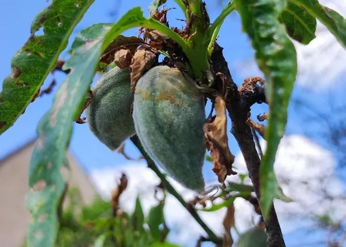 Au Phil De La Nath'ure 3* Achen