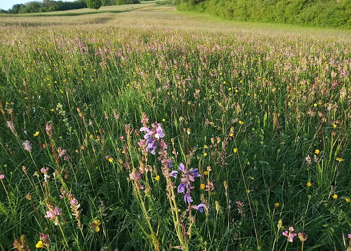 Au Phil De La Nath'ure Casa de hóspedes