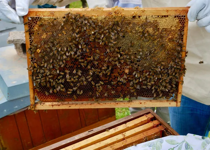 Au Phil De La Nath'ure Casa de hóspedes