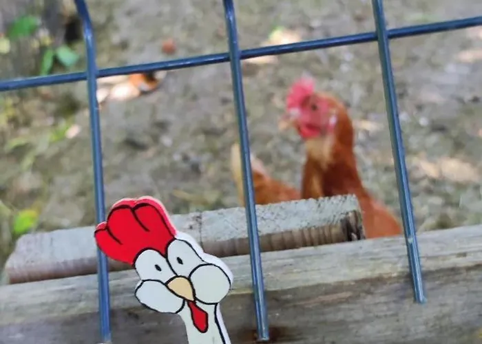 Casa de hóspedes Au Phil De La Nath'ure