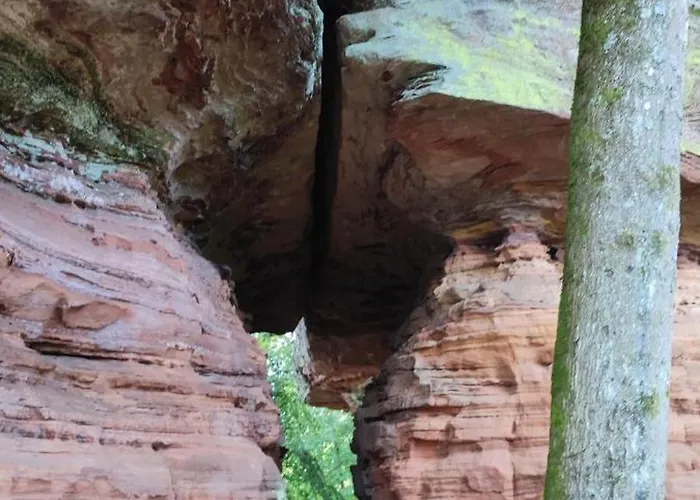 Au Phil De La Nath'ure