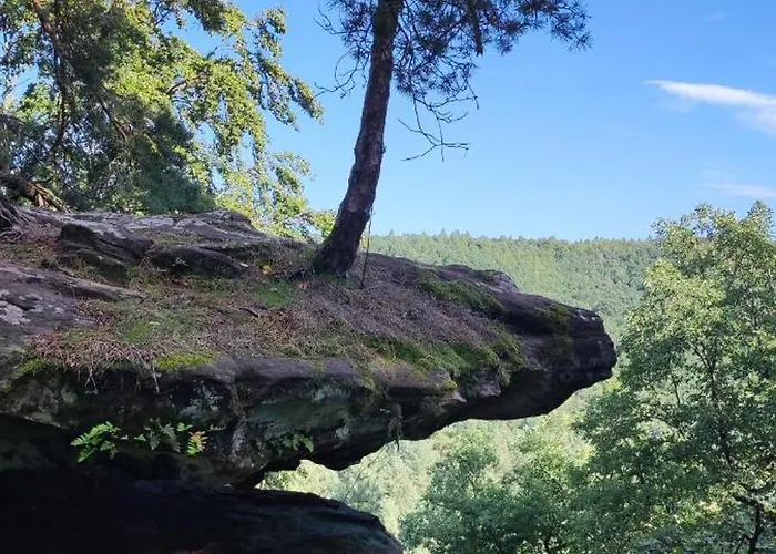 Au Phil De La Nath'ure 3*